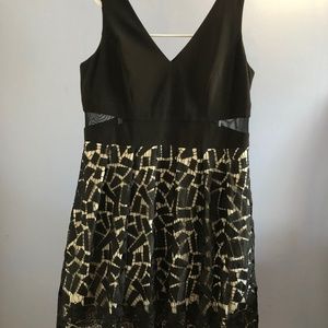 Xcape semi-formal dress size 18W